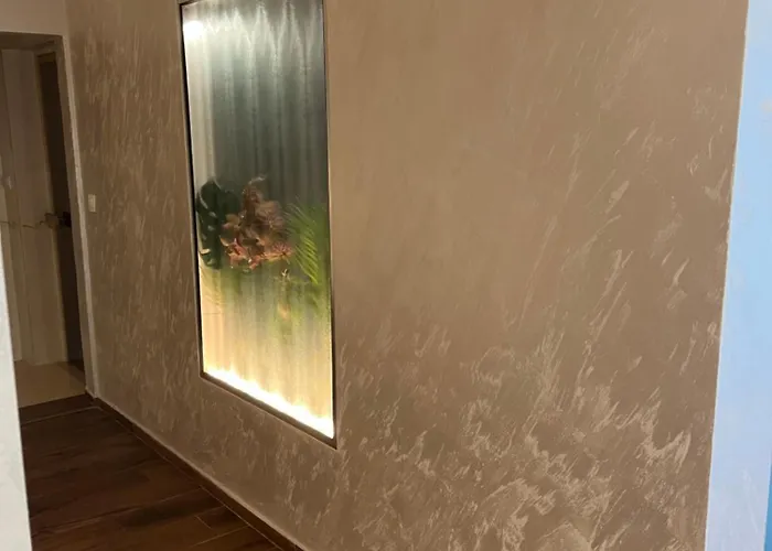 Family The View & Tsigov Chark