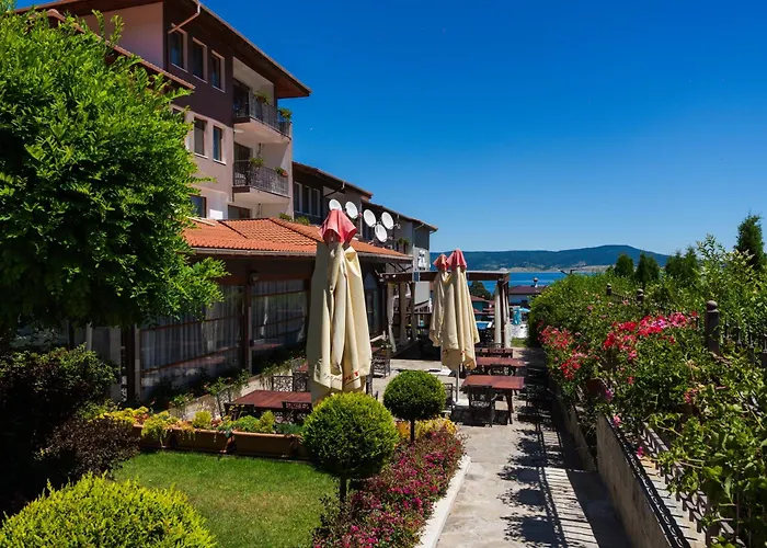 Family The View & Tsigov Chark